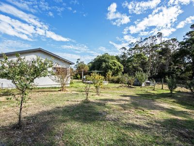 211 Back Line Road, Forest