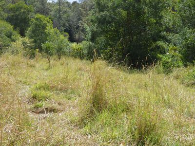101 AHERNS ROAD, Conondale