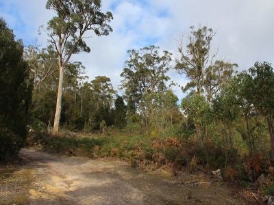 21 Morgans Road, Huonville