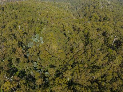 Lot 1, Link Road, Lonnavale