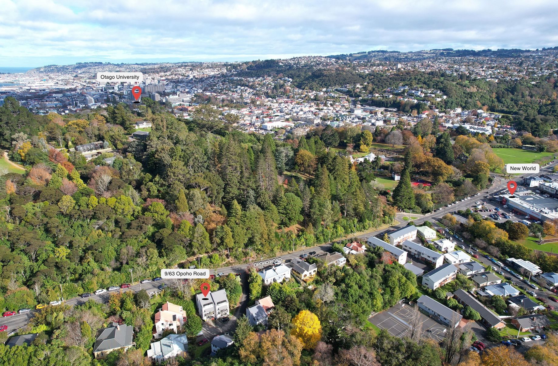 9 / 63 Opoho Road, North East Valley