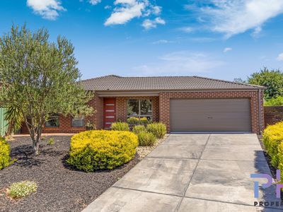 5 Flemington Place, Ascot