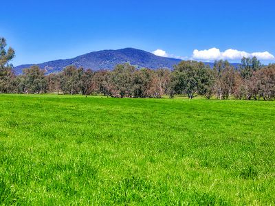 . Murray Valley Highway, Bonegilla