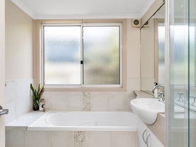 22 Muskheart Circuit, Pottsville