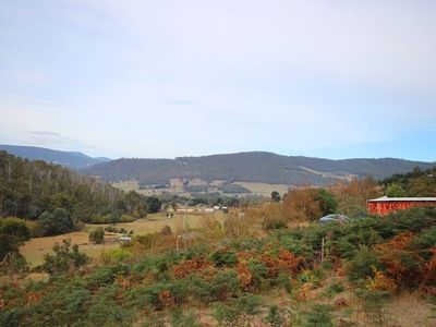 Lot 16 Waggs Gully Road, Ranelagh