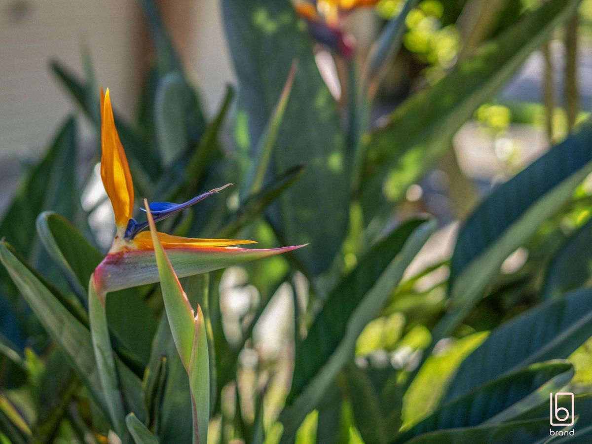 3 Renee Close, Lake Haven