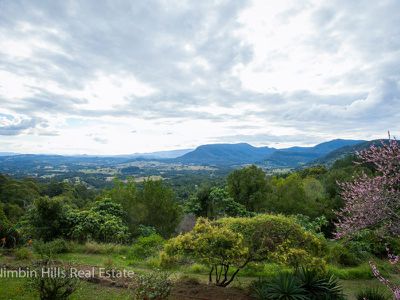 1133 Tuntable Creek Road, Nimbin