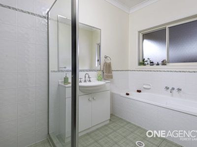 15 Jezabel Dr, Springfield Lakes
