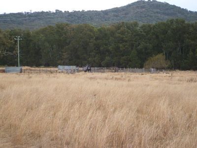 113 Summerville Road, Emmaville