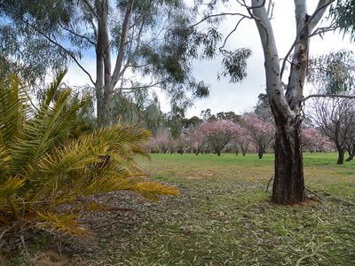 70 Clay Gully Lane, Mcintyre