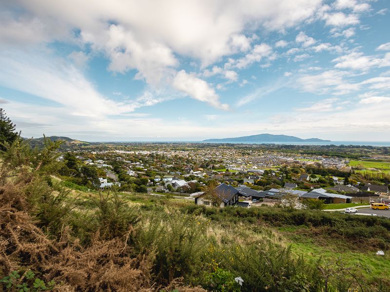 20 Wilson Way, Waikanae
