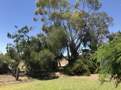 36 Linton Park Drive, Barham