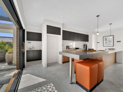 1 Tallrush Street, Clyde North