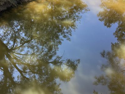 1766 FLAGGS ROAD, Gungal