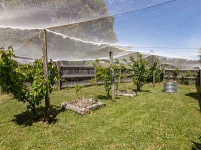 60 Cross Road, Nicholls Rivulet