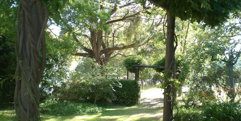 Watkins Road, Strathbogie