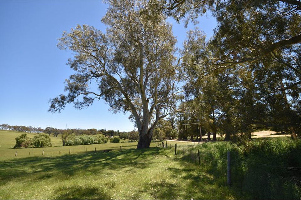 Lot 141 Watts Gully Road, Forreston