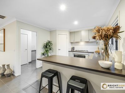 20 Manoora Avenue, Clyde North