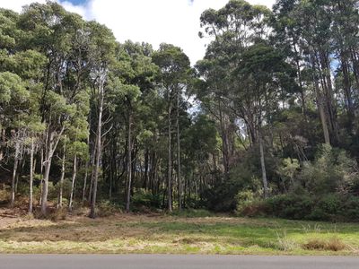 Lot 4, Reservoir Drive, Wynyard