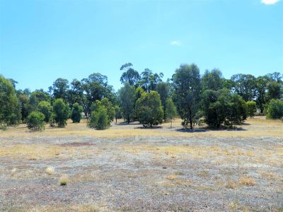 5 Bush Pea Dr, Seymour