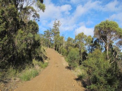 Huon Highway, Huonville