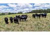 39 Heifer Station Lane, Orange