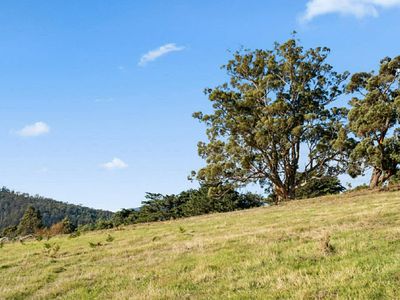 Lot 2, Direens Road, Lymington