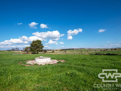 1067 Shannon Vale Road, Shannon Vale
