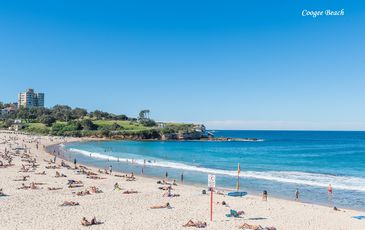 1 / 6 Greenwood Avenue, Coogee