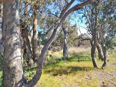 6436 Mid Western Highway, Lyndhurst