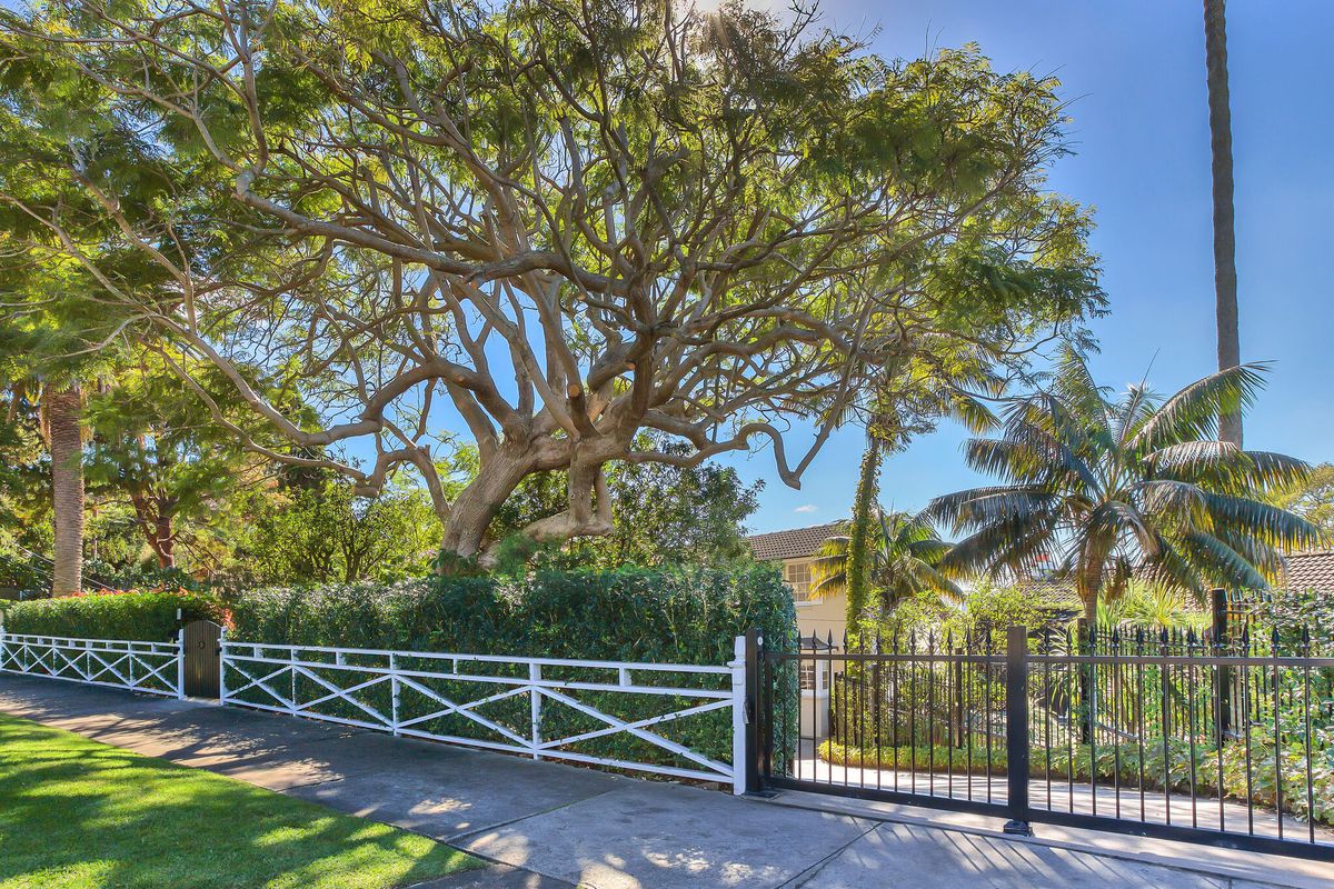 31 Bundarra Road, Bellevue Hill