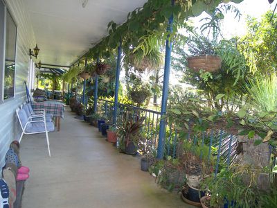 59 Crabbes Creek Rd, Crabbes Creek