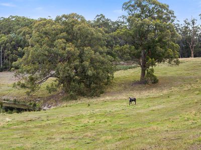312 Silver Hill Road, Cygnet
