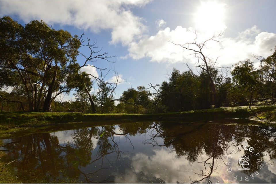 38 Trevilla Road, One Tree Hill