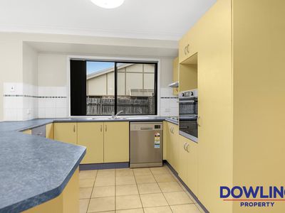 20 Gwalia Close, Medowie