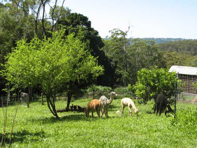 60B Narrows Road, Montville