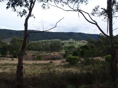 263 Woolleys Road, Lonnavale