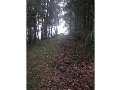 515 Tallowa Dam Road, Kangaroo Valley