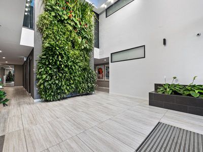 1045 / 123 Cavendish Road, Coorparoo