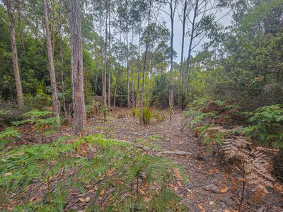 Lot 1, Link Road, Lonnavale