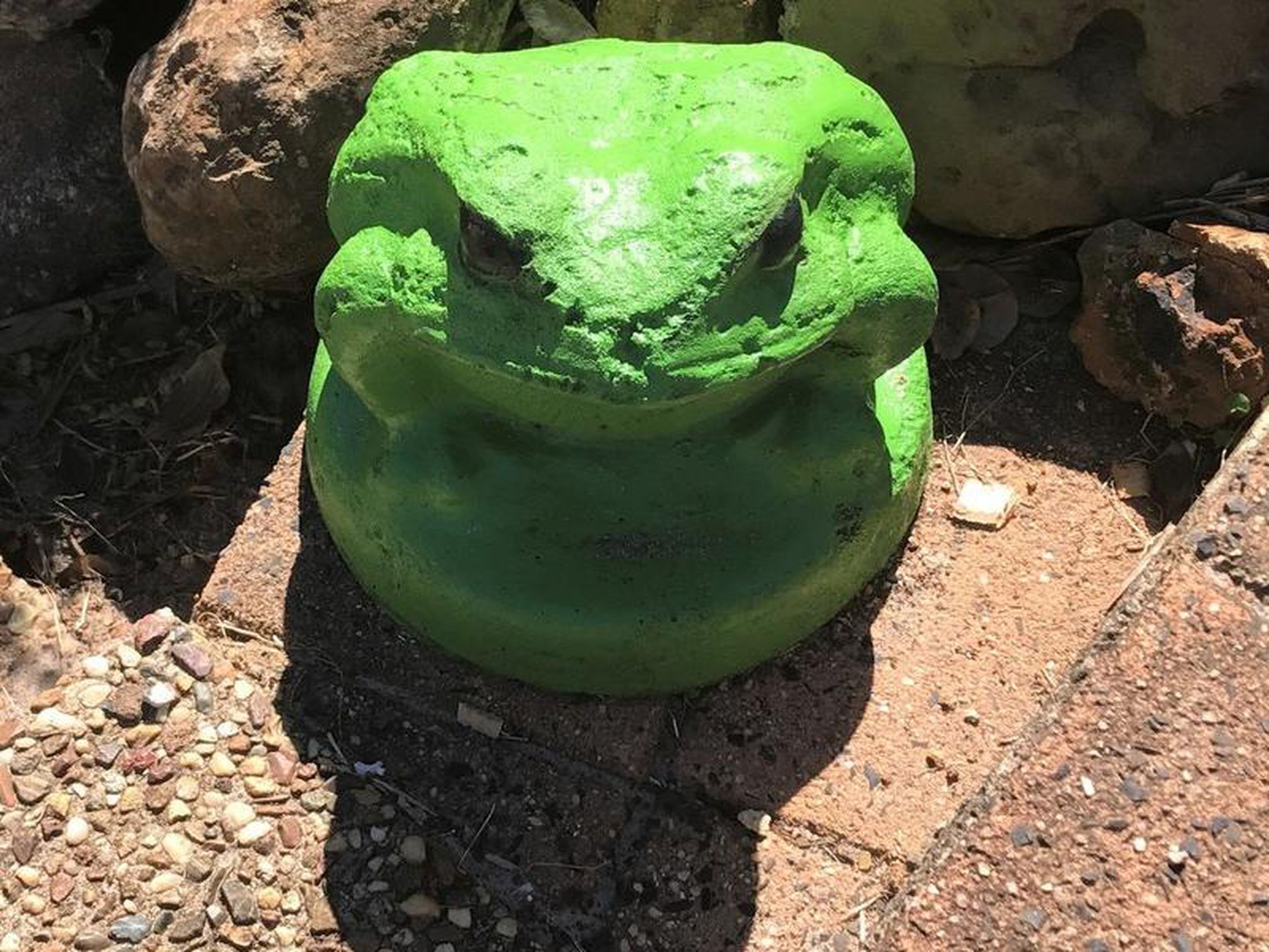 19 Curtawilla Street, Banora Point