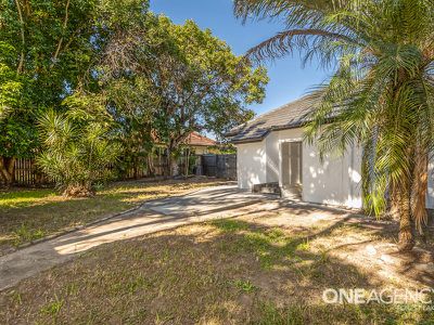 22 Buddleia St, Inala