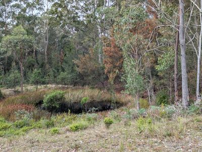 150 Potato Point Road, Bodalla