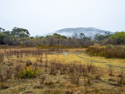 202-238 Flacks Road, Coles Bay