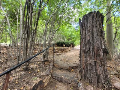 1 tea garden road , Rubyvale