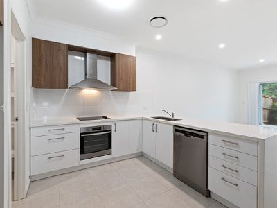 46 Platypus Circuit, Rochedale