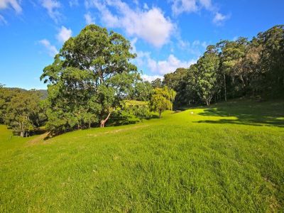 Lot 8600 Lot 8600 Bunkers Hill Road, Kangaroo Valley
