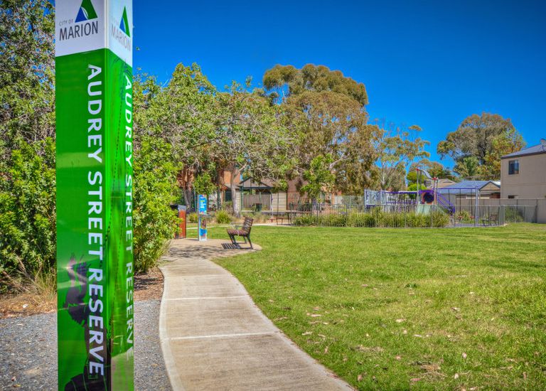 46 Audrey Street, Ascot Park