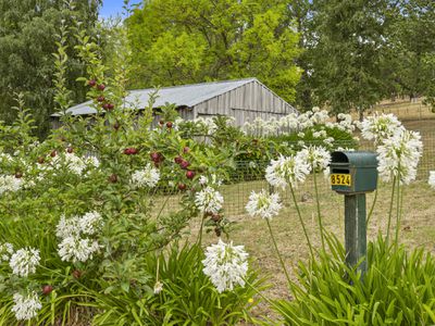 8524 Channel Highway, Woodstock