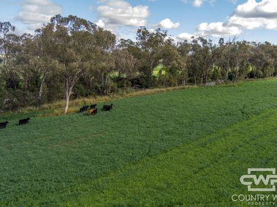 1036 Rob Roy Road, Inverell